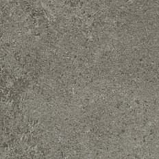 S60019