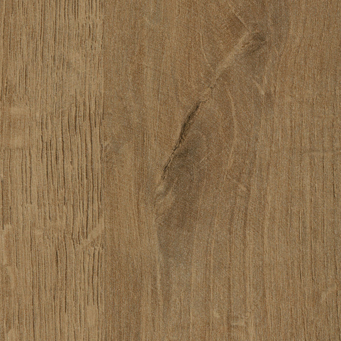 R22239