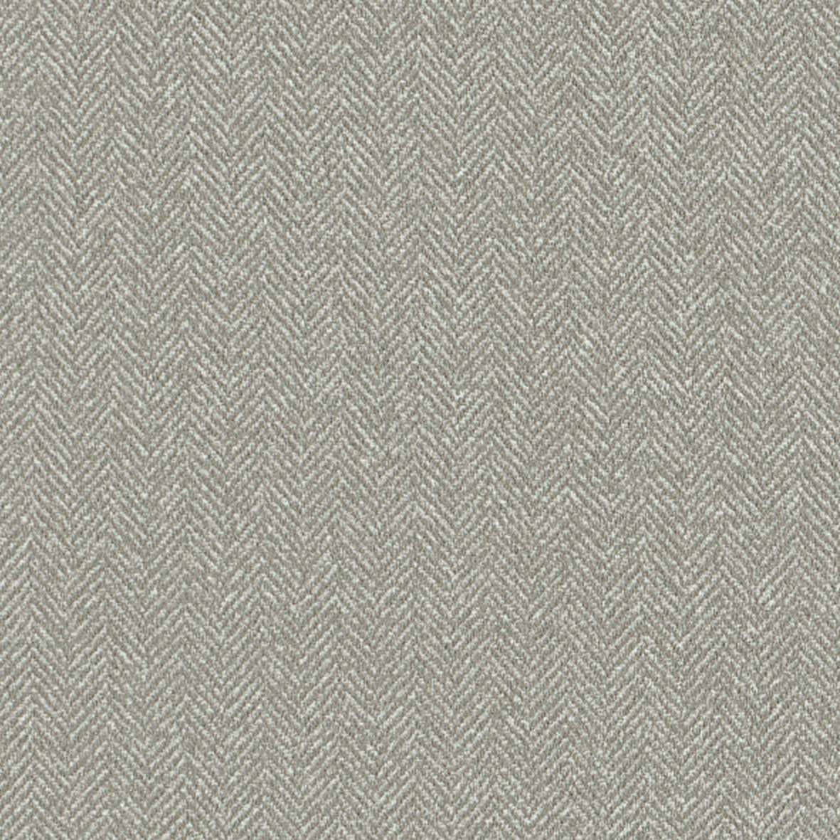F73036